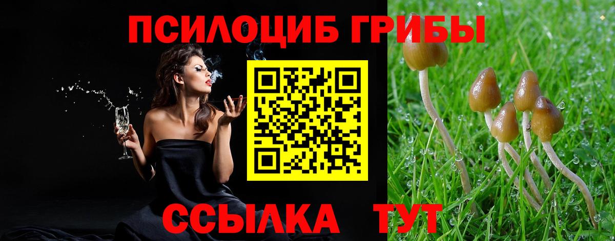 Королёв  Псилоцибиновые грибы мицелий  Вход с VPN 