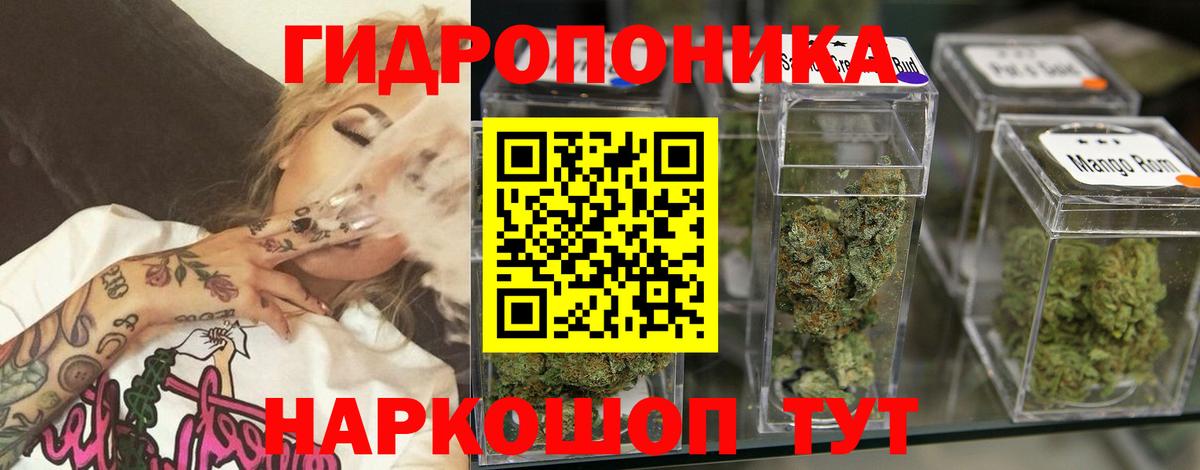 Королёв  Каннабис MAZAR  Вход с VPN  Бошки Шишки White Widow  Конопля сатива  Конопля марихуана 